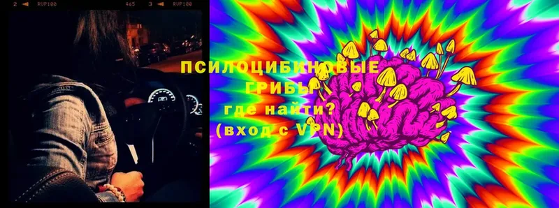 Галлюциногенные грибы Magic Shrooms  Валуйки 